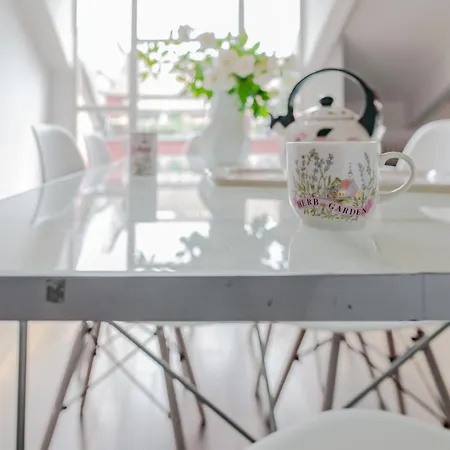 Ac, Terrace, Parking, Terrazza Sui Tetti Appartement Turin